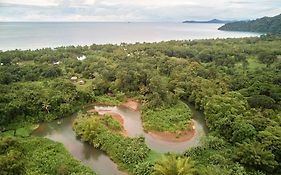 Jardin Botanico Del Pacifico Y Mecana Ecohotel
