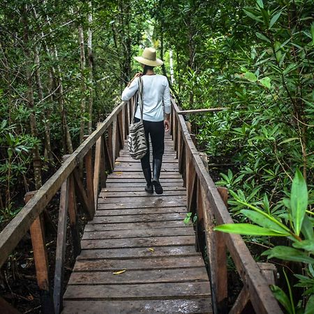 Jardin Botanico Del Pacifico Y Mecana Ecohotel Bahia Solano Zewnętrze zdjęcie