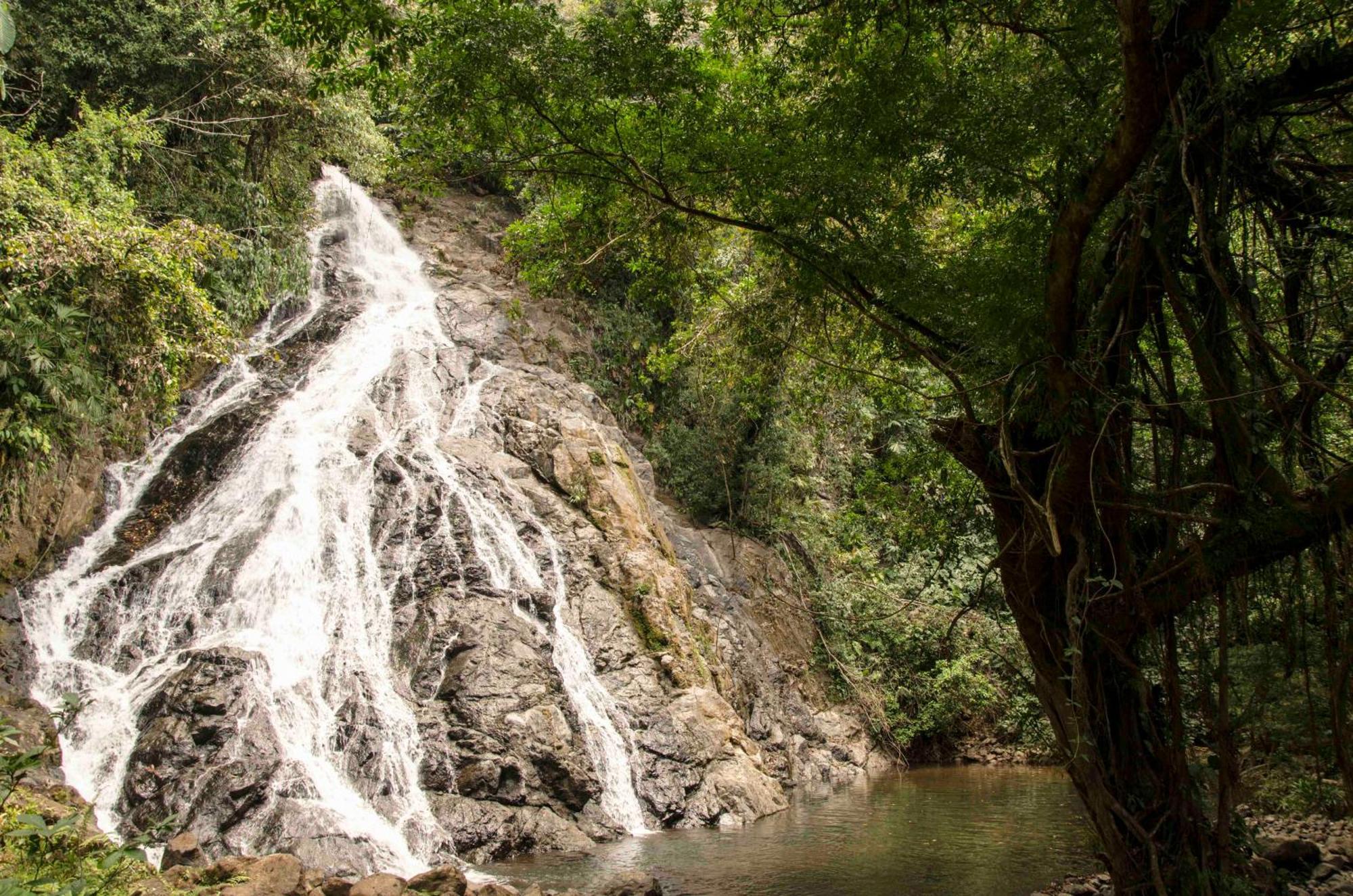 Jardin Botanico Del Pacifico Y Mecana Ecohotel Bahia Solano Zewnętrze zdjęcie