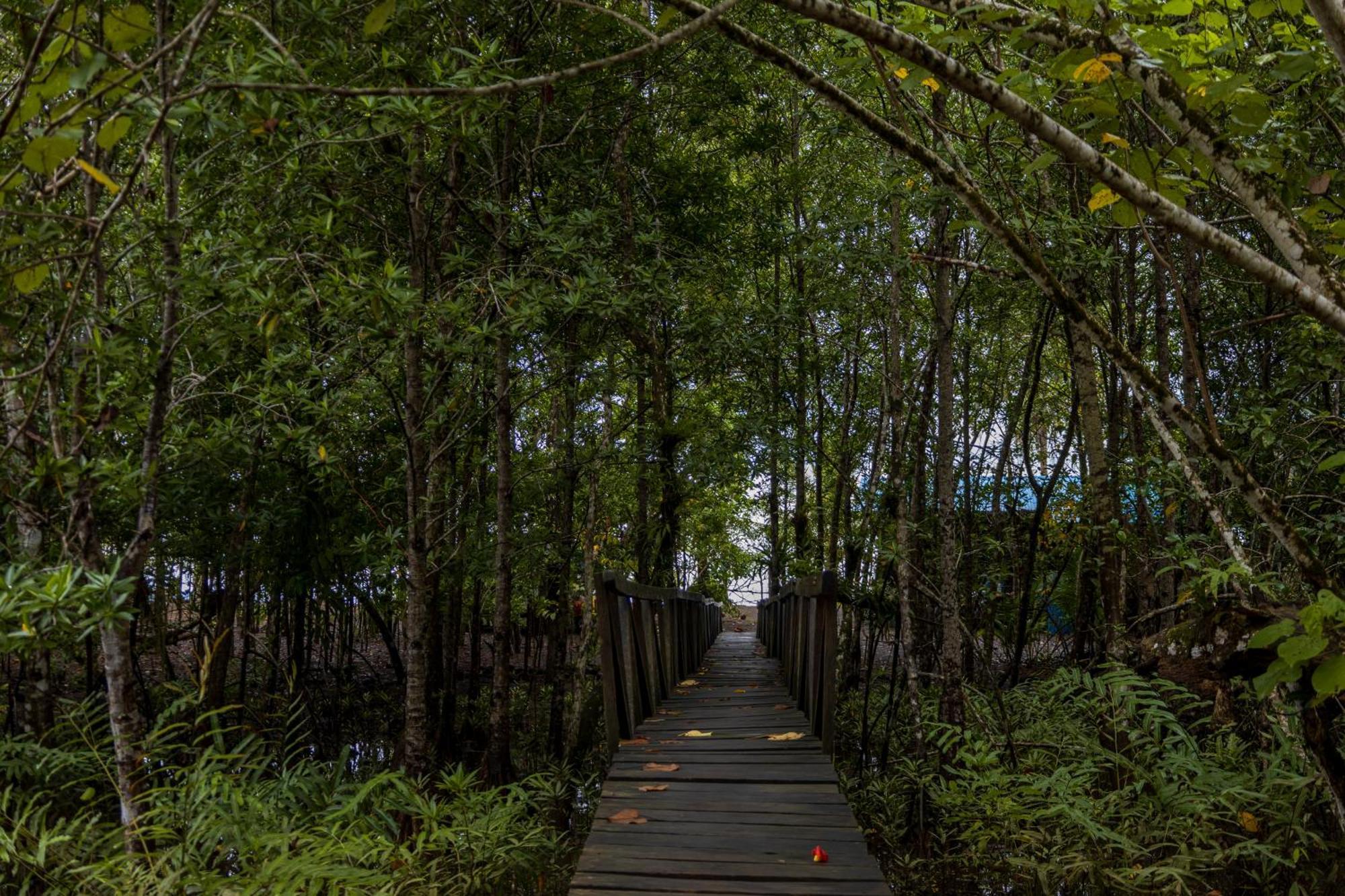 Jardin Botanico Del Pacifico Y Mecana Ecohotel Bahia Solano Zewnętrze zdjęcie