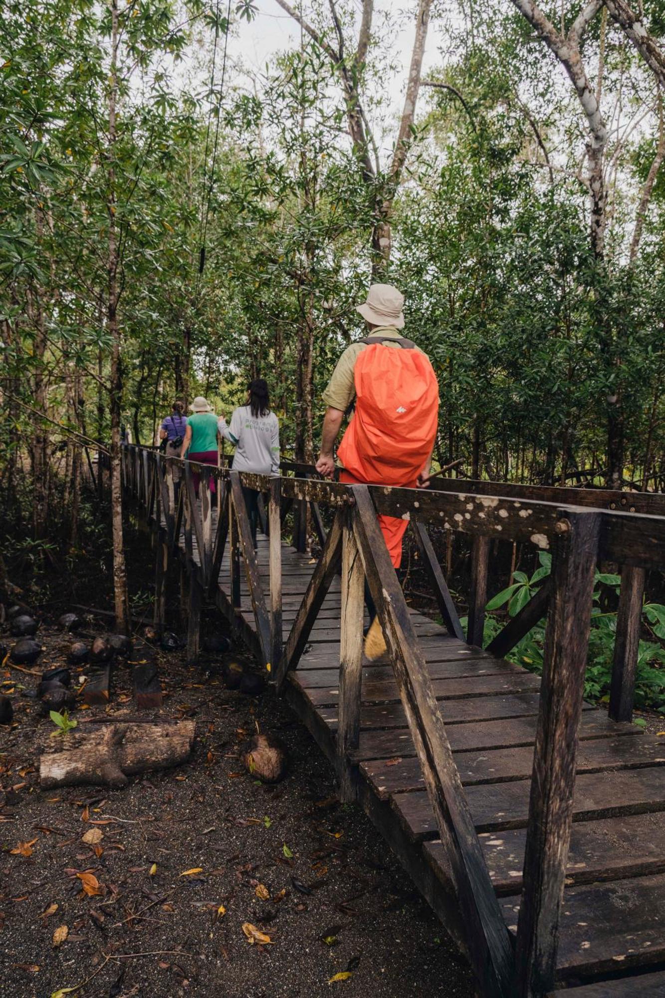 Jardin Botanico Del Pacifico Y Mecana Ecohotel Bahia Solano Zewnętrze zdjęcie