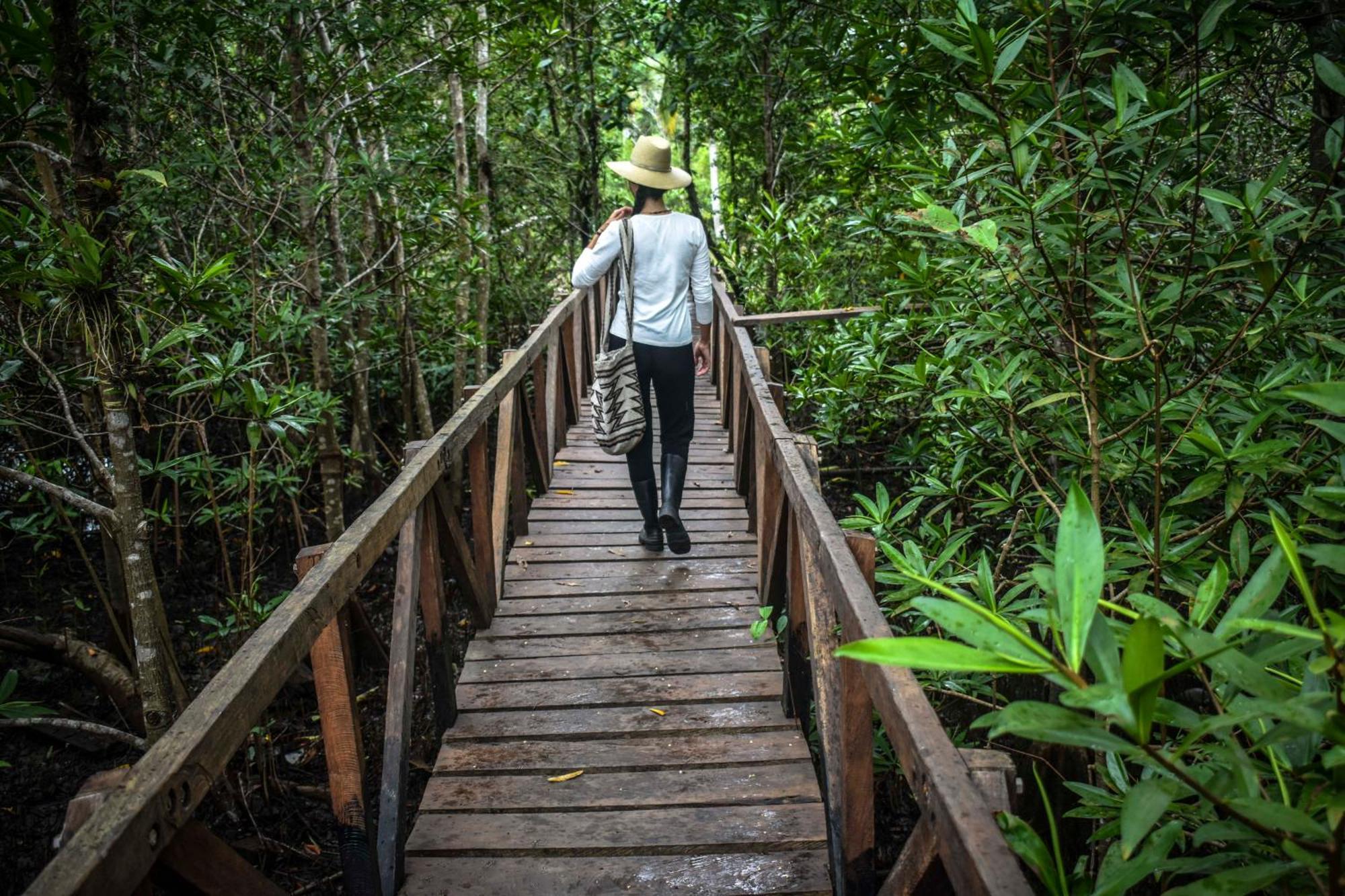 Jardin Botanico Del Pacifico Y Mecana Ecohotel Bahia Solano Zewnętrze zdjęcie