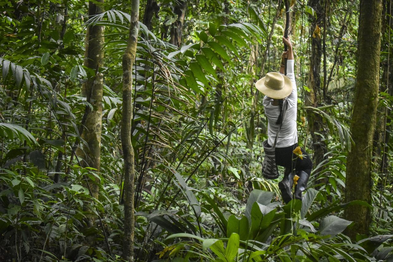 Jardin Botanico Del Pacifico Y Mecana Ecohotel Bahia Solano Zewnętrze zdjęcie