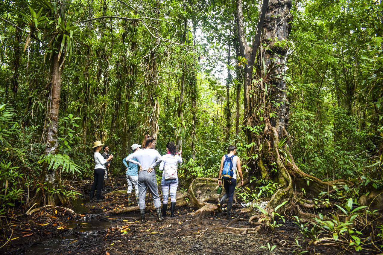 Jardin Botanico Del Pacifico Y Mecana Ecohotel Bahia Solano Zewnętrze zdjęcie